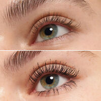 The False Lashes Extreme Volume & Curl   The False Lashes Extreme Volume & Curl   3